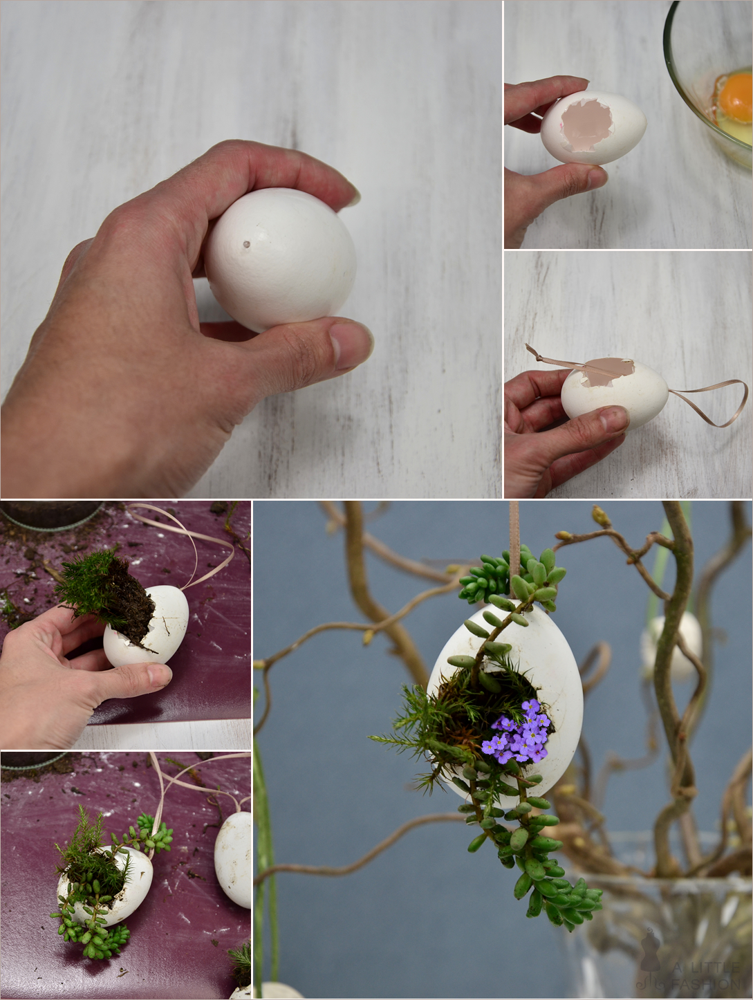 Hängende Blumentöpfchen aus Eierschalen