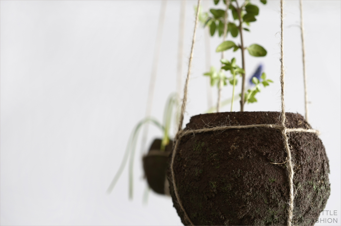 Kokedama pflegeleicht... DIY string garden