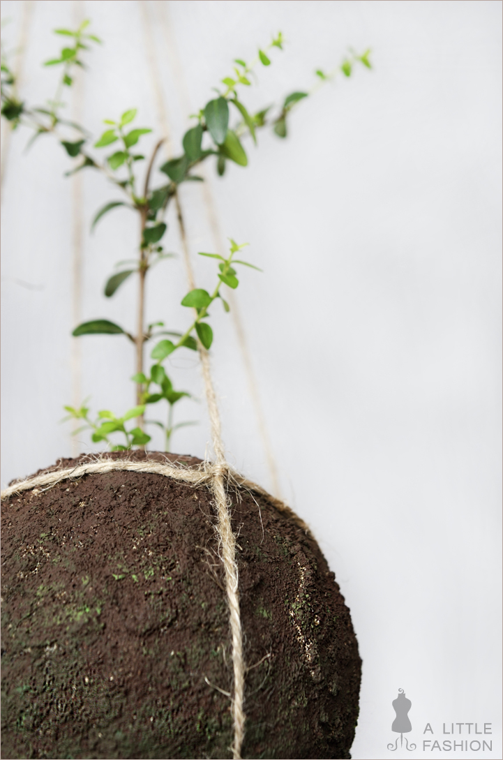 Kokedama pflegeleicht... DIY string garden