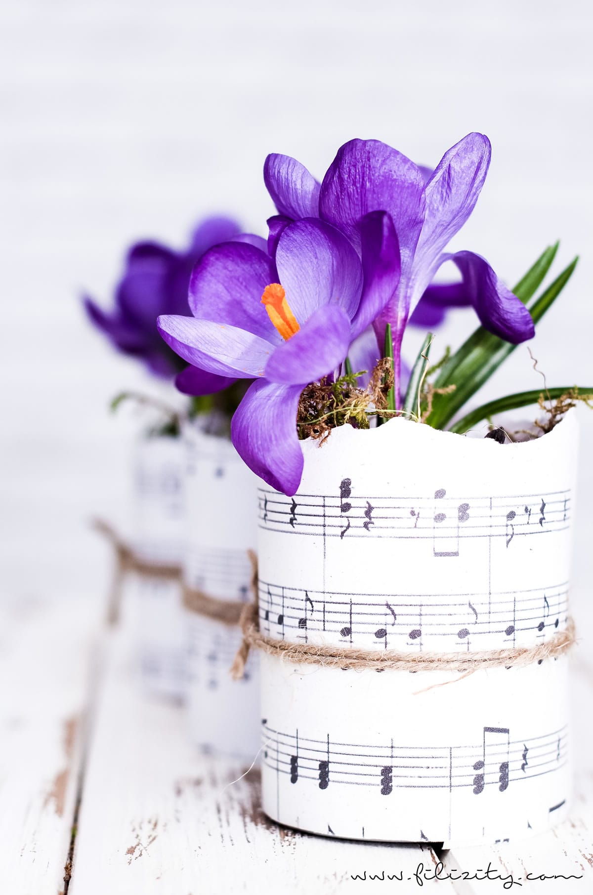 DIY Blumentöpfe aus Dosen und Papier | Upcycling & Frühlingsdeko | Filizity.com | DIY-Blog aus dem Rheinland #frühling #upcycling