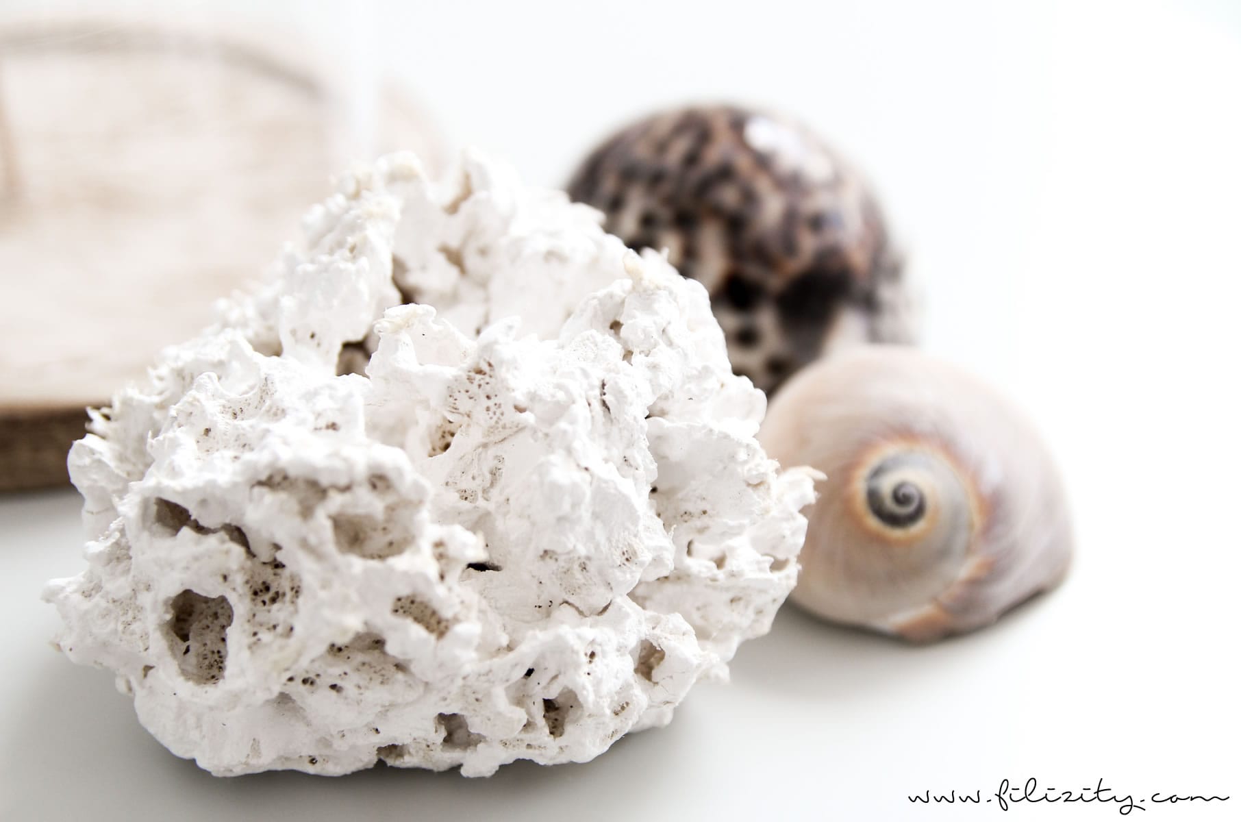 Sommer-DIY: Maritime Deko mit Muscheln selber machen