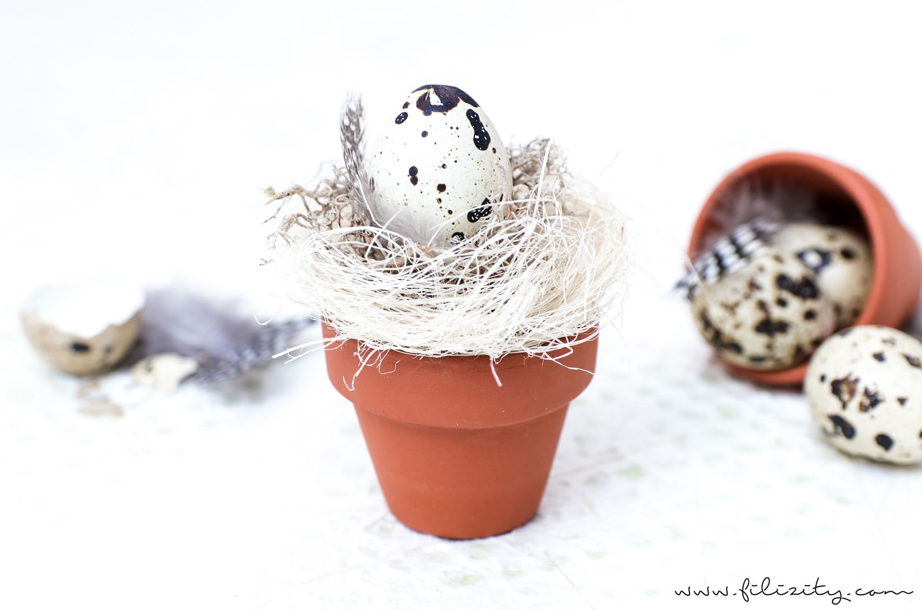 3 DIY Osterdeko Ideen mit Tontöpfen zum Selbermachen | Osterdeko mit Wachtelei, Federn, Schoko-Eiern und Drahtkorb | Filizity.com | DIY & Interior-Blog aus dem Rheinland #ostern #osterdeko