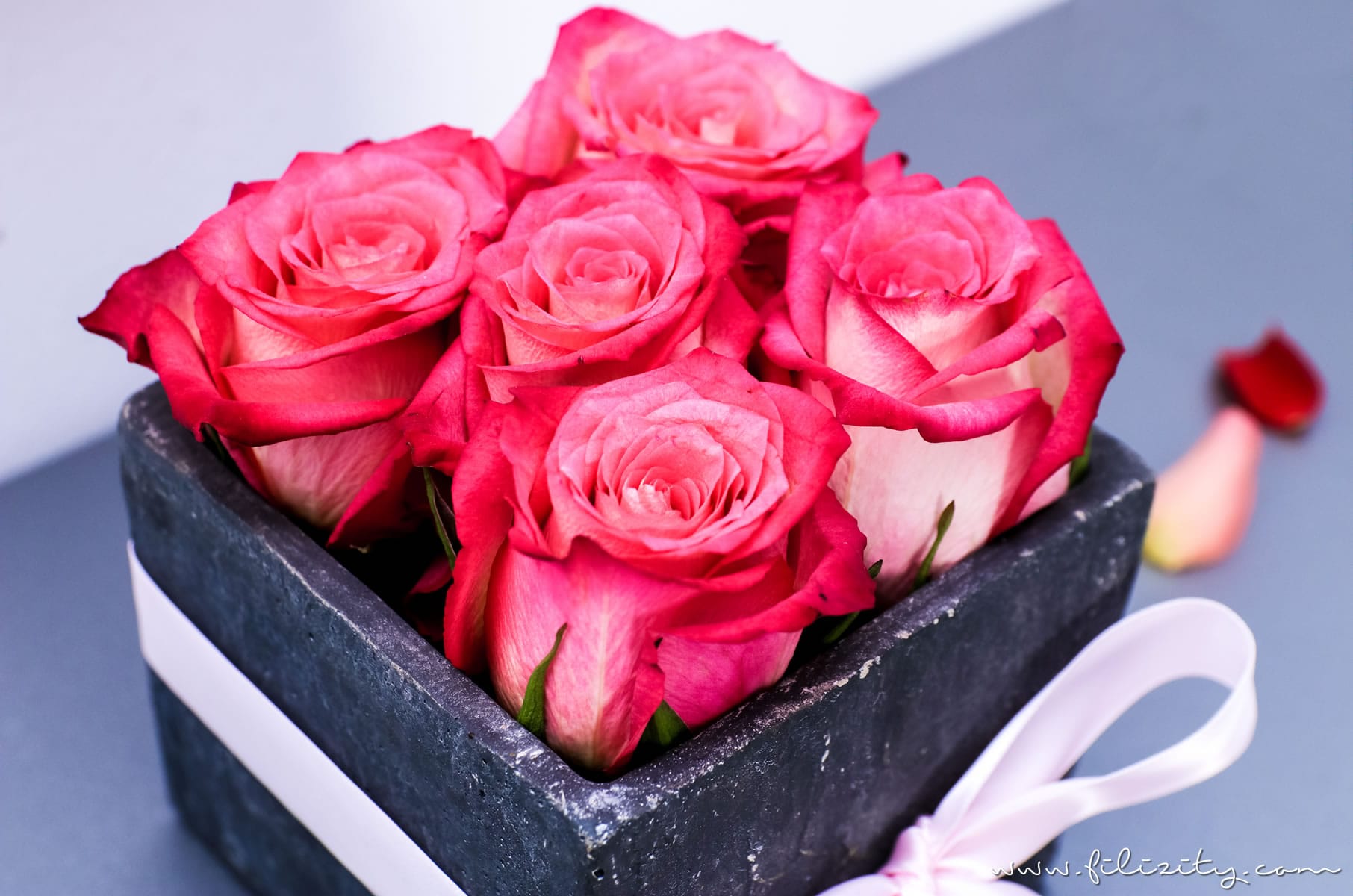 3x Flowerbox selber machen - DIY Geschenkidee für Valentinstag, Muttertag, Geburtstag usw. | DIY Deko mit Blumen | Filizity.com | DIY-Blog aus dem Rheinland #valentinstag #muttertag #geschenkidee #geburtstag #flowerbox