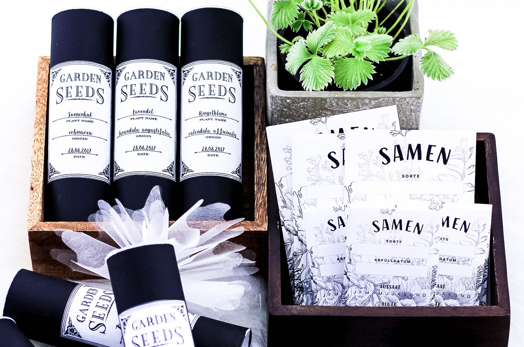 DIY Saatgut-Aufbewahrungsdosen selber machen | Upcycling aus Katzenleckerli-Dosen für mehr Ordnung im Garten | Filizity.com | DIY-Blog aus dem Rheinland #frühling #garten #greenliving