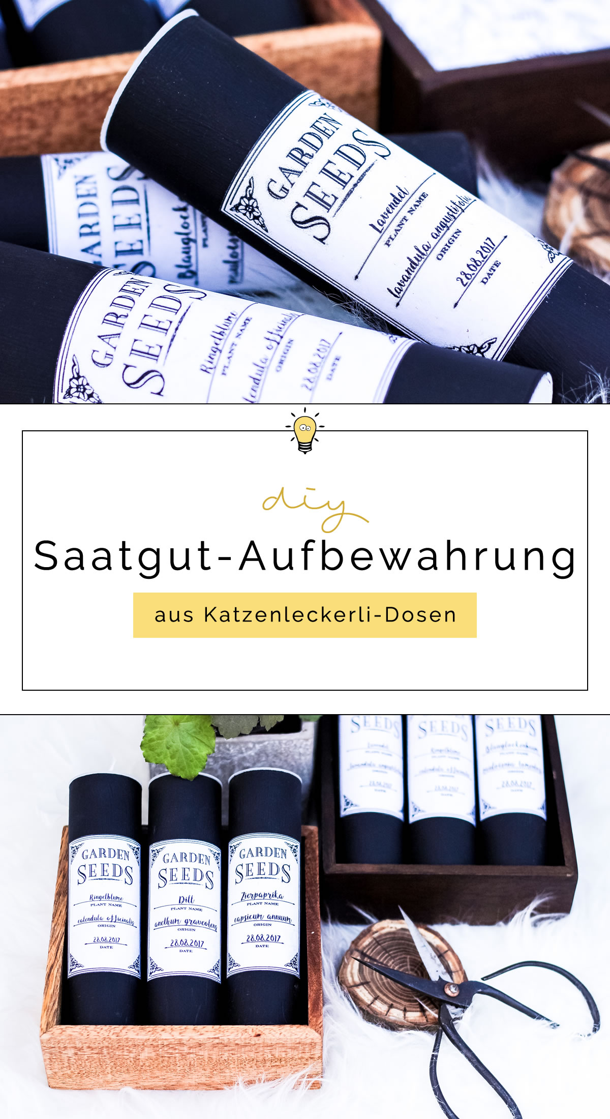 DIY Saatgut-Aufbewahrungsdosen selber machen | Upcycling aus Katzenleckerli-Dosen für mehr Ordnung im Garten | Filizity.com | DIY-Blog aus dem Rheinland #frühling #garten #greenliving
