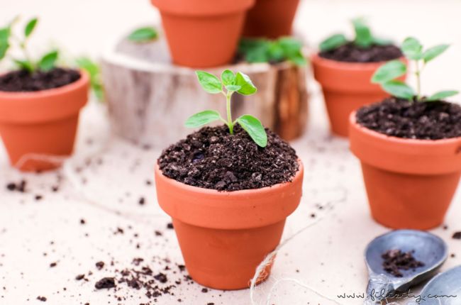 Oreo Dirt Pudding - Schoko-Pudding im Blumentopf mit Kekskrümeln und Kräutern | Perfekt als Dessert und Party-Food für Geburtstage & Co. | Filizity.com | Food-Blog aus dem Rheinland