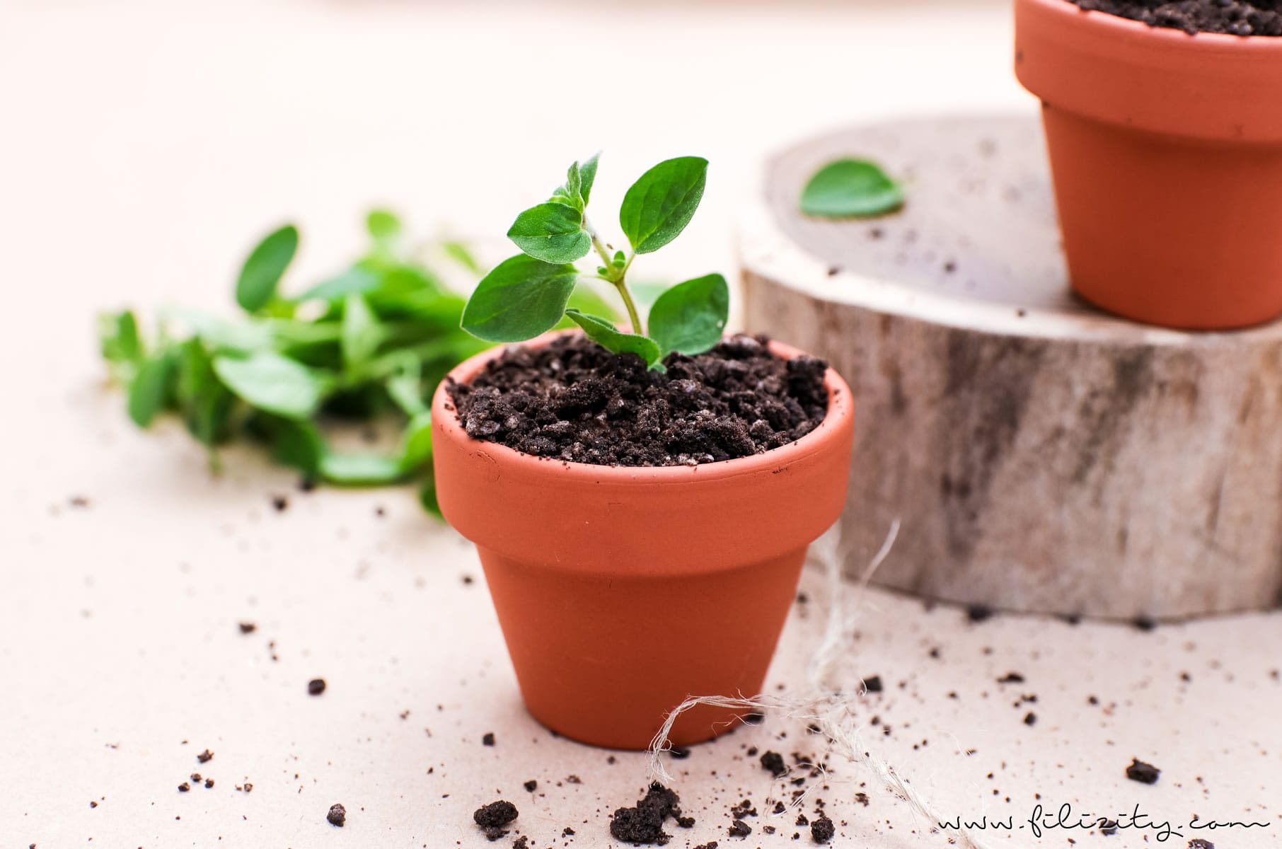 Oreo Dirt Pudding - Schoko-Pudding im Blumentopf mit Kekskrümeln und Kräutern | Perfekt als Dessert und Party-Food für Geburtstage & Co. | Filizity.com | Food-Blog aus dem Rheinland