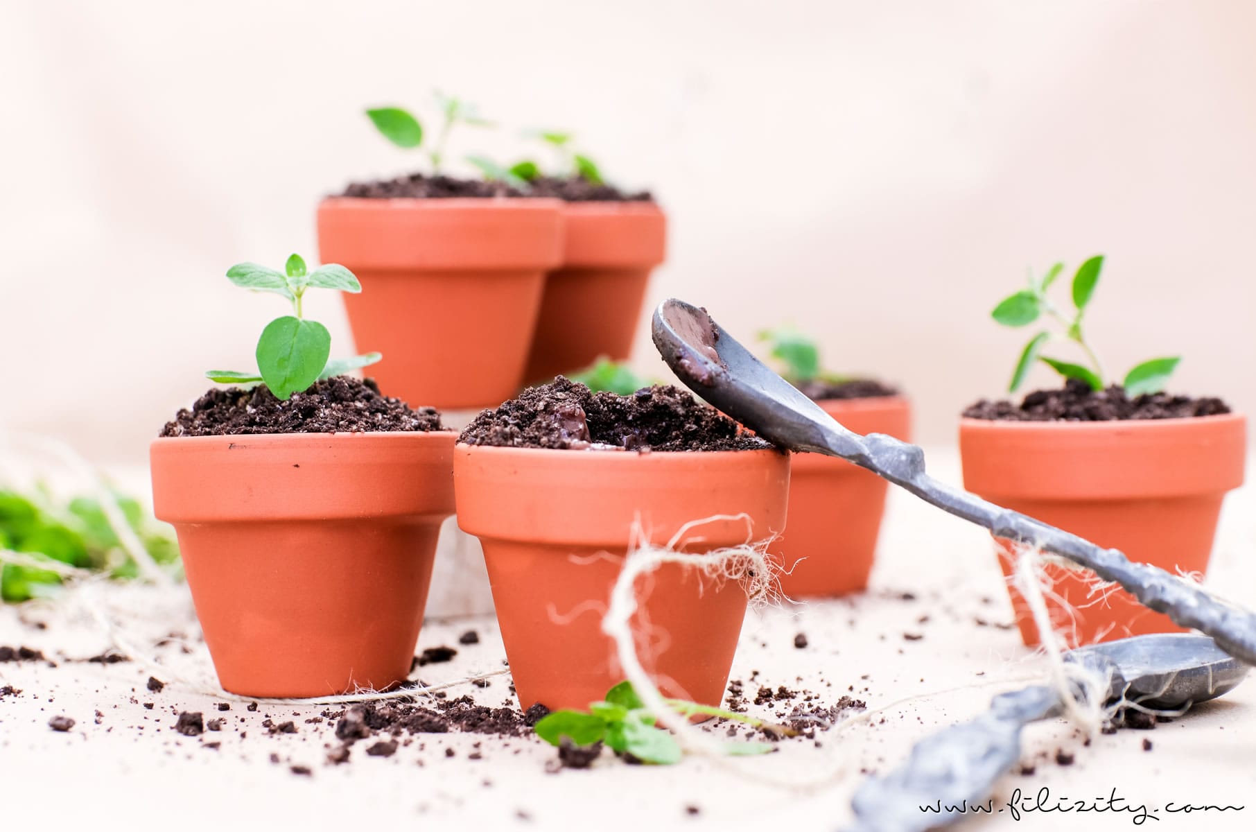 Oreo Dirt Pudding - Schoko-Pudding im Blumentopf mit Kekskrümeln und Kräutern | Perfekt als Dessert und Party-Food für Geburtstage & Co. | Filizity.com | Food-Blog aus dem Rheinland