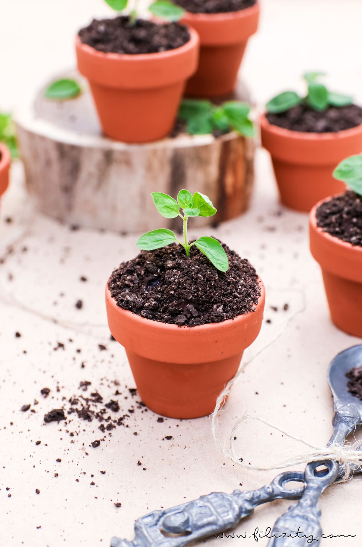 Oreo Dirt Pudding - Schoko-Pudding im Blumentopf mit Kekskrümeln und Kräutern | Perfekt als Dessert und Party-Food für Geburtstage & Co. | Filizity.com | Food-Blog aus dem Rheinland