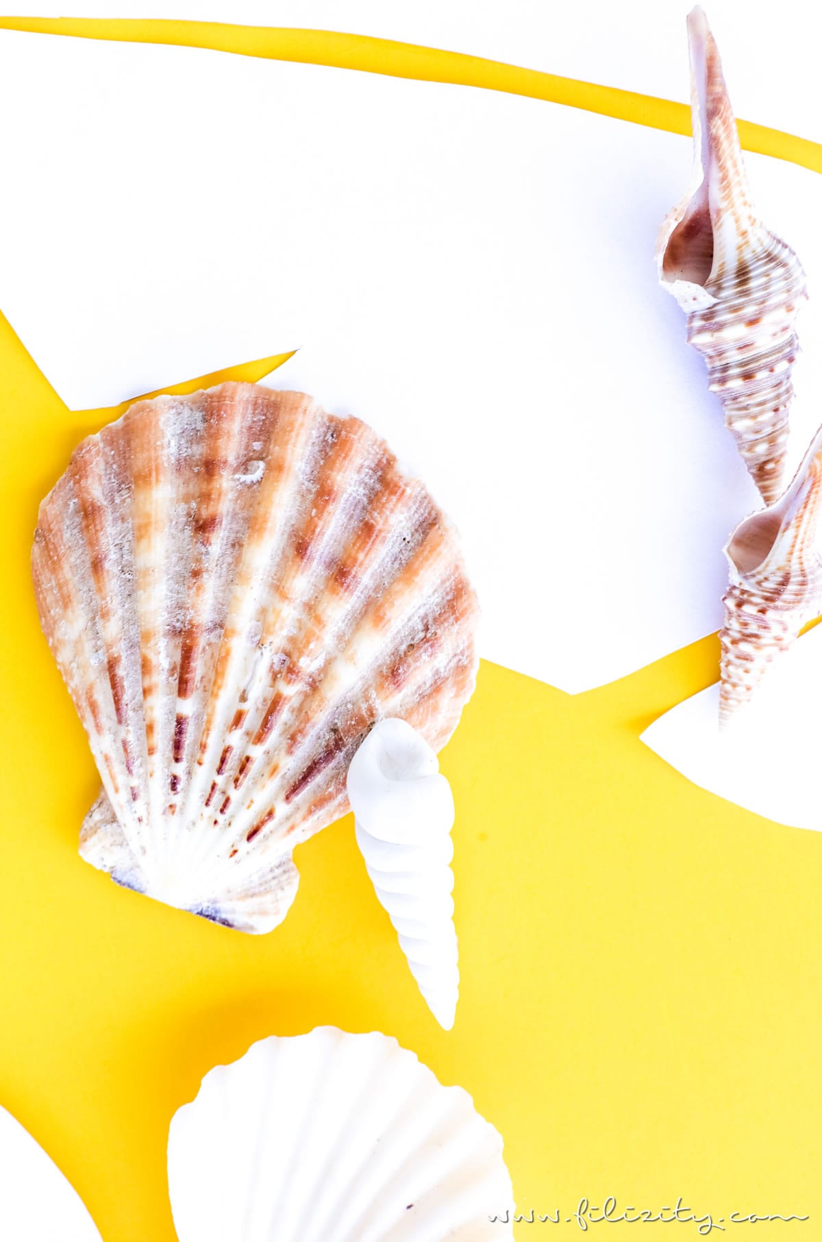 Kleidung aufpeppen: DIY Muschel-Brosche aus Fimo oder Kaltporzellan selber machen | Sommer-Schmuck basteln | Filizity.com - DIY-Blog aus dem Rheinland #myfimo #fimo #kaltporzellan #sommer